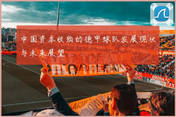 中国资本收购的德甲球队发展现状与未来展望