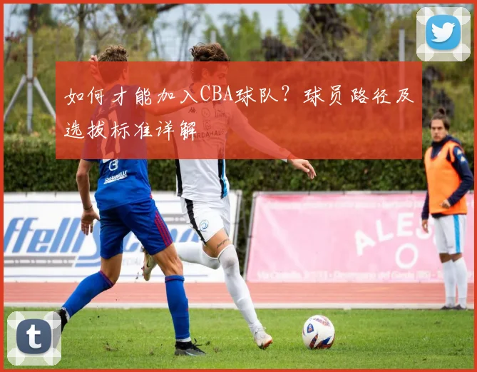 如何才能加入CBA球队？球员路径及选拔标准详解