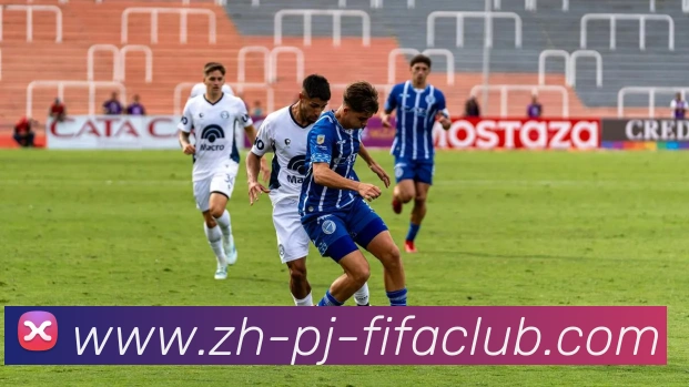 世界杯买球平台生态图